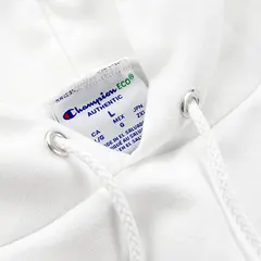 Champion Hoodie view 9